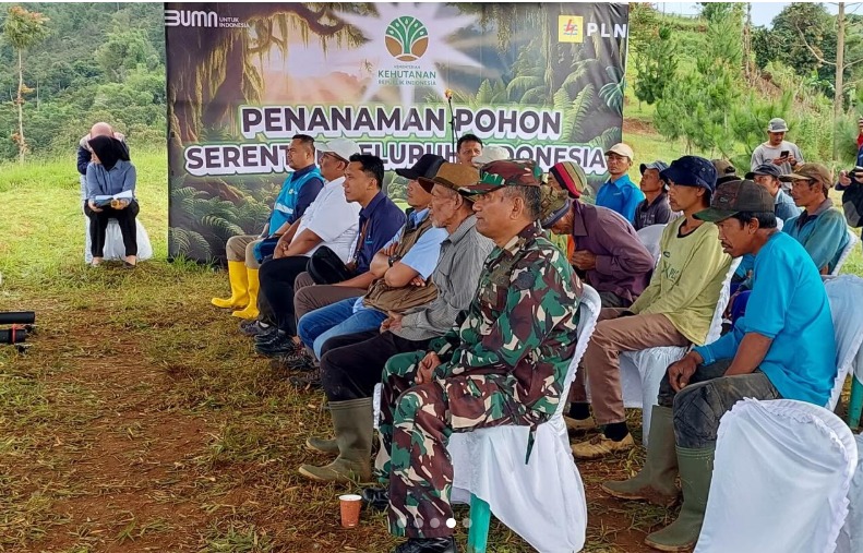 Foto Lainnya Penanaman Pohon Serentak di Seluruh Indonesia